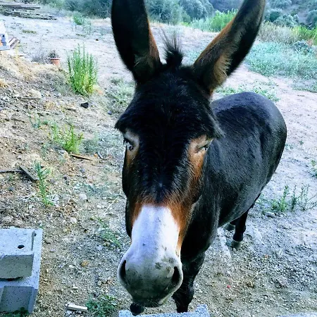 度假居 Soluna 卡尔热斯