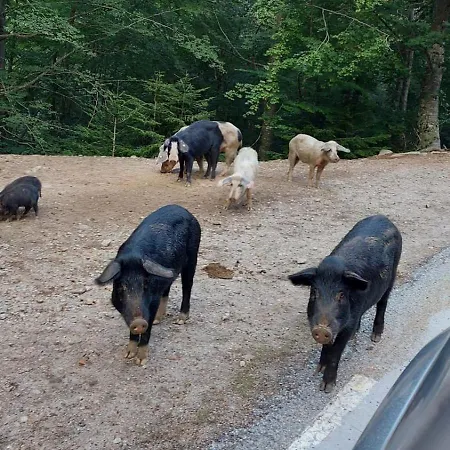 Semesterbostad Soluna Cargèse