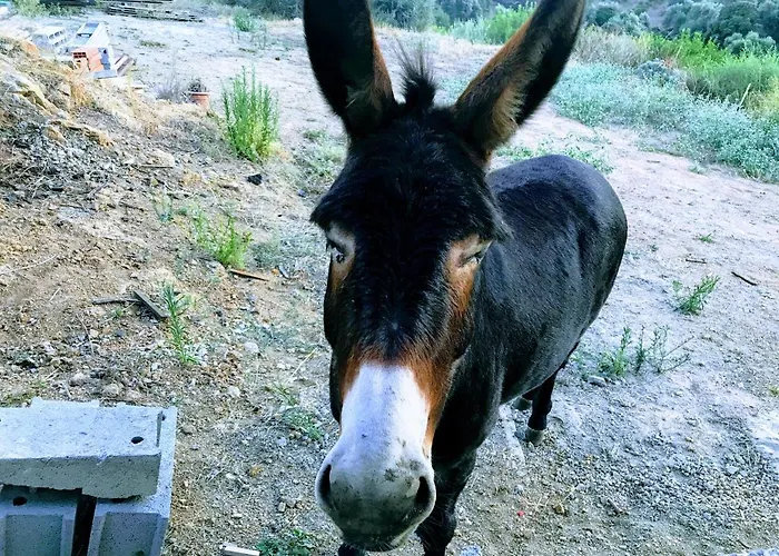 Vakantiehuis Soluna Cargèse