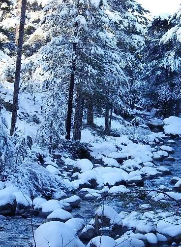 Soluna 펜션 Cargèse