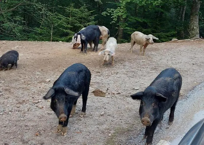 Vakantiehuis Soluna Cargèse